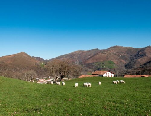 Nature et culture basque à Bidarray